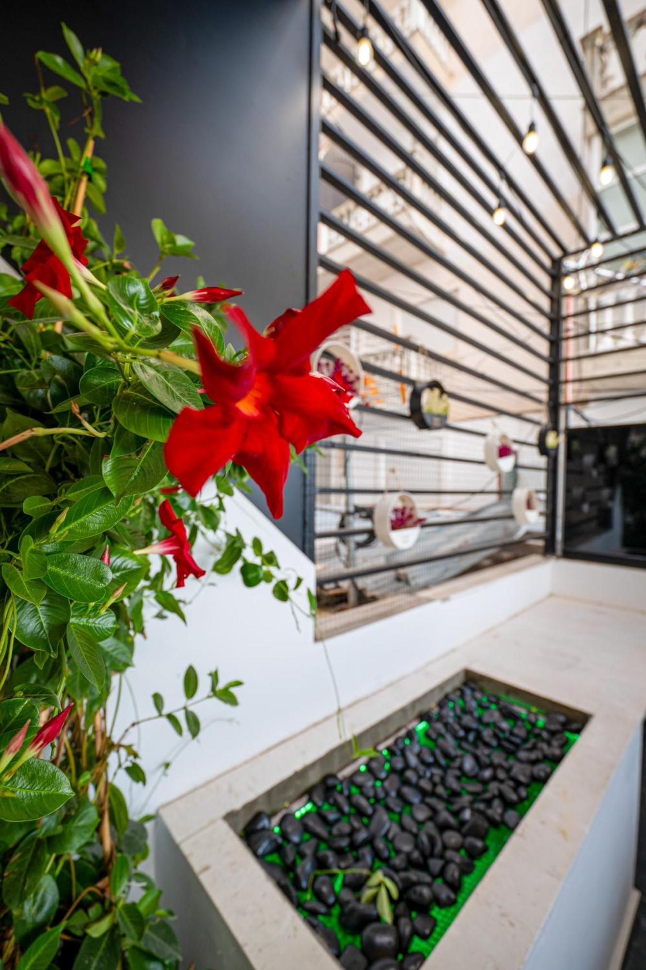 Mato Luxury Apartments Sarandë Exterior foto